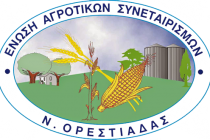 Τα νέα μέλη του Δ.Σ της Ε.Α.Σ Ορεστιάδας