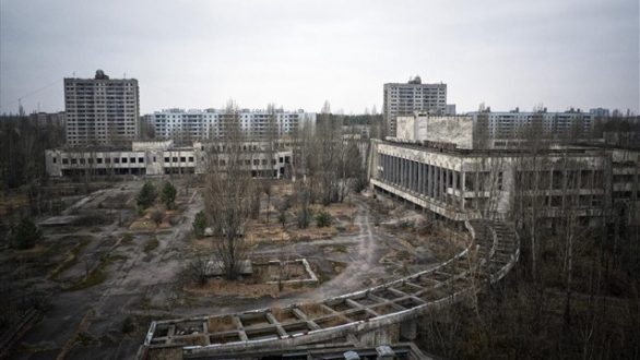 Τα νεκρά φυτά στο Τσερνόμπιλ δεν αποσυντίθενται