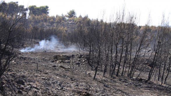 Σαμοθράκη: 1200 Στρέμματα Στάχτη από την Πυρκαγιά