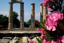 Πρόγραμμα για τις Πολιτιστικές Εκδηλώσεις Δήμου Σαμοθράκης “Καβείρια 2017”