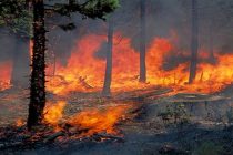 «Καμπανάκι» του Meteo για πολύ υψηλό κίνδυνο εκδήλωσης φωτιάς – Ο Έβρος στις “επικίνδυνες” περιοχές