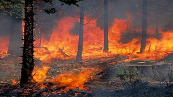 «Καμπανάκι» του Meteo για πολύ υψηλό κίνδυνο εκδήλωσης φωτιάς – Ο Έβρος στις “επικίνδυνες” περιοχές