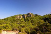 Έκκληση από τον Περιφερειάρχη για την προστασία των δασών μας