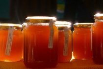 Γιορτή Μελισσοκομίας στην Αλεξανδρούπολη