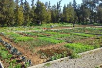 Δημοτικός Λαχανόκηπος και στο Δήμο Ορεστιάδας