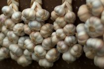 Μειωμένη έως και 40% φέτος η καλλιέργεια σκόρδου στον Έβρο