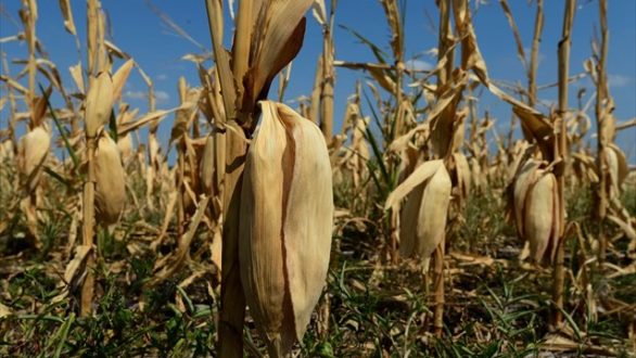 Ο Ιούλιος ο θερμότερος μήνας που έχει καταγραφεί ποτέ παγκοσμίως