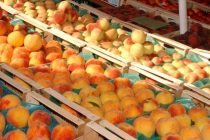 Αλεξανδρούπολη:  Διανομή φρούτων από το πολυκοινωνικό παντοπωλείο