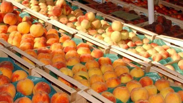 Αλεξανδρούπολη:  Διανομή φρούτων από το πολυκοινωνικό παντοπωλείο