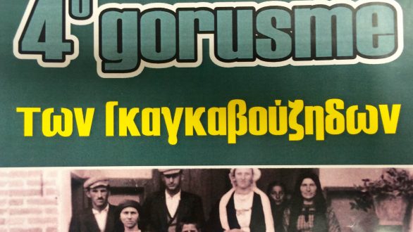 4ο Gorusme Γκαγκαβούζηδων στην Οινόη