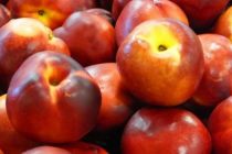 Δωρεάν Διανομή Οπωροκηπευτικών σε Δήμους του Έβρου