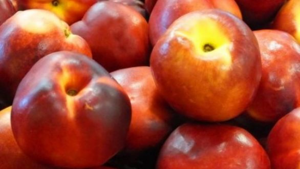 Δωρεάν Διανομή Οπωροκηπευτικών σε Δήμους του Έβρου