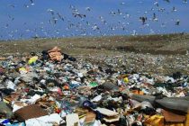 Επιμένει στο θέμα των σκουπιδιών η Αυτόνομη Πρωτοβουλία Πολιτών “Είναι στο Χέρι Μας”