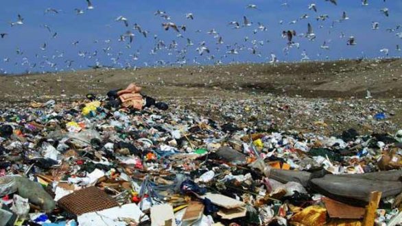 Επιμένει στο θέμα των σκουπιδιών η Αυτόνομη Πρωτοβουλία Πολιτών “Είναι στο Χέρι Μας”