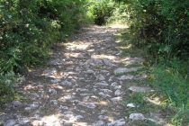 Δηλώσεις συμμετοχής για την περιήγηση στο καλύτερα σωζόμενο στην περιοχή του Έβρου πεδινό τμήμα της Αρχαίας Εγνατίας Οδού