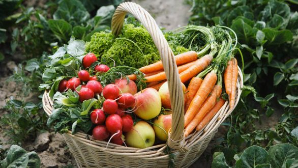 Ποια είδη λαχανικών και φρούτων μπορούμε να καταναλώσουμε τον μήνα Οκτώβριο