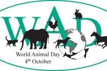 Παγκόσμια Ημέρα των Ζώων