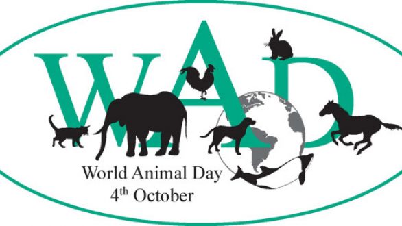 Παγκόσμια Ημέρα των Ζώων