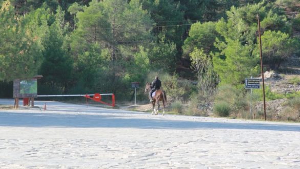 Γιορτή πουλιών 2015 από το Φορέα Διαχείρισης Εθνικού Πάρκου Δάσους Δαδιάς-Λευκίμης Σουφλίου