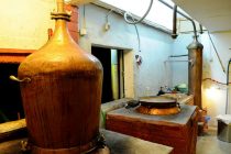 Γιορτή Τσίπουρου 2015 στο Σουφλί