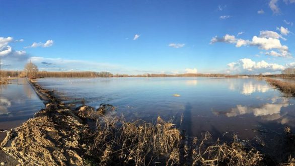 Στη βουλή φέρνει το ΚΚΕ τη καθυστέρηση της αποκατάστασης του δρόμου Φυλακίου – Ελιάς
