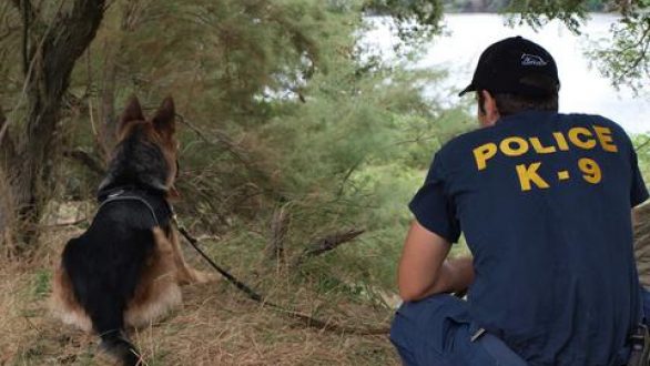 Πυρά κατά αστυνομικών στον Έβρο