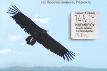 Συνέδριο του Φορέα Διαχείρισης δάσους Δαδιάς-Λευκίμης-Σουφλίου