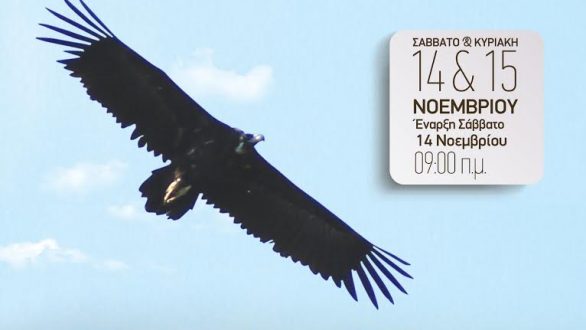 Συνέδριο του Φορέα Διαχείρισης δάσους Δαδιάς-Λευκίμης-Σουφλίου