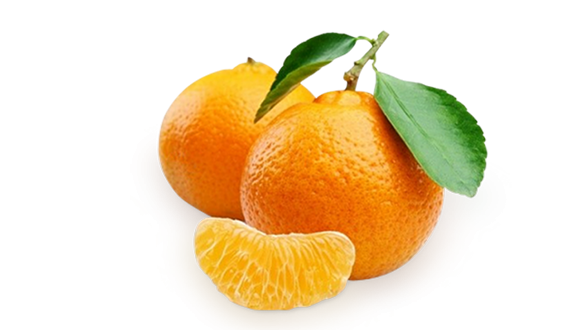 Διανομή φρούτων σε Αλεξανδρούπολη και Φέρες