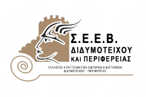 Αντιδρούν οι επαγγελματίες του Διδυμοτείχου για την “Αυλή του Αη Βασίλη”