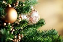 Η φωταγώγηση δέντρων και οι χριστουγεννιάτικες εκδηλώσεις