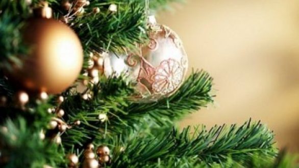 Η φωταγώγηση δέντρων και οι χριστουγεννιάτικες εκδηλώσεις