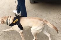 Φάρσα αποδείχθηκε η κλήση για βόμβα στα Δικαστήρια