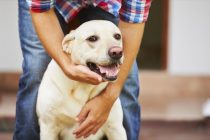 Χρυσά tips για την εκπαίδευση σκύλων