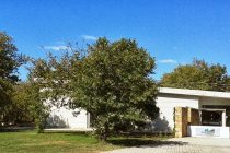 Νέα εκπαιδευτικά προγράμματα στο Μουσείο Φυσικής Ιστορίας Αλεξανδρούπολης