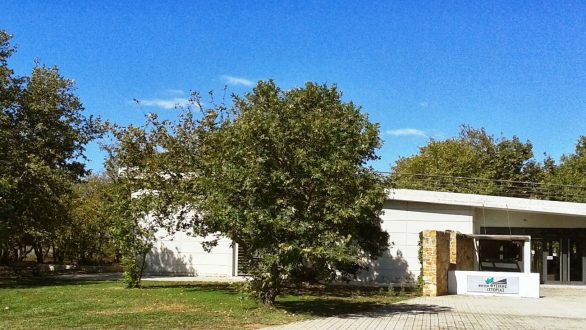 Εκπαιδευτικό πρόγραμμα: “Υγρότοπος, ένας τόπος μαγικός”