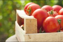 Διανομή ντομάτας από το Πολυκοινωνικό του Δήμου Αλεξανδρούπολης.