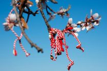 Βήματα μπροστά…