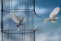 το γαλάζιο…