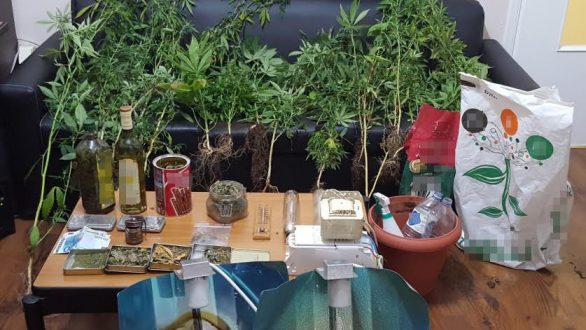 Σύλληψη 29χρονου στην Αλεξανδρούπολη για καλλιέργεια κάνναβης και κατοχή ναρκωτικών