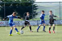 Τα πρώτα νέα  και θετικά βήματα στην ακαδημία του Ορέστη !