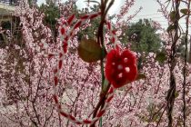 …την Άνοιξη αν δεν την βρεις την φτιάχνεις…Οδ. Ελύτης