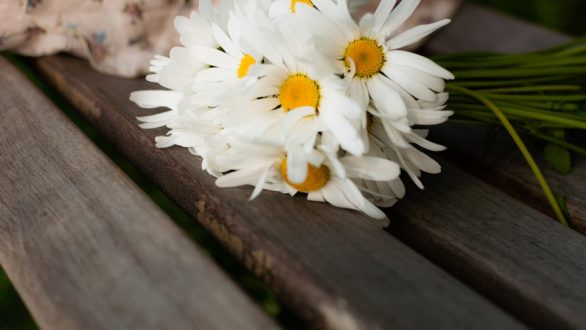 ΕΣΕΕ: Υποχρεωτική αργία η Πρωτομαγιά