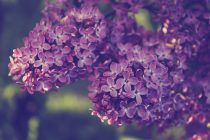 Το τραγούδι της εβδομάδας