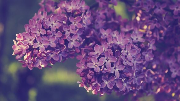 Το τραγούδι της εβδομάδας