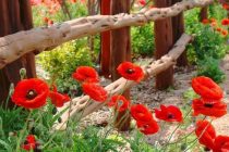 Tο τραγούδι της εβδομάδας