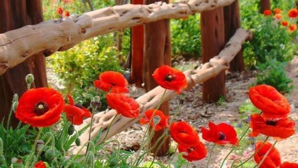 Tο τραγούδι της εβδομάδας