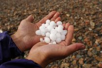 Αναρτήθηκαν οι πίνακες εκτίμησης του ΕΛΓΑ από χαλαζοπτώσεις στην Αλεξανδρούποη