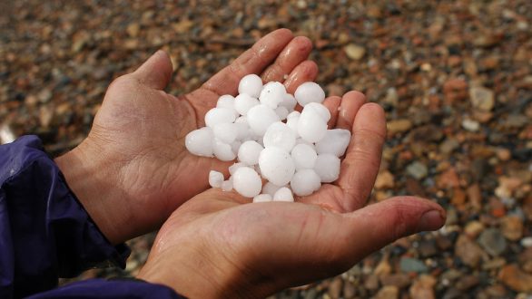 ΕΛΓΑ: Καταγραφή ζημιών από χαλάζι στην Μάκρη