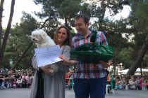 Φωτορεπορτάζ από τα καλλιστεία σκύλων